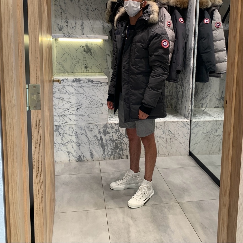 Canada goose